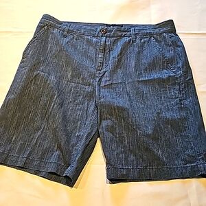PAIGE mens shorts size 33